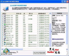 金山系统急救箱 守护网络与信息安全的高效兵器