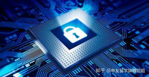 澳大利亚留学热门专业前10名 高竞争力专业盘点，网络与信息安全与软件开发领跑